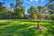 5703 Lee, Downers Grove, IL 60516