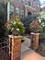 2628 Blakely, Naperville, IL 60540