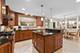 1272 Sandhurst, Buffalo Grove, IL 60089