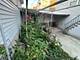 2842 S Union, Chicago, IL 60616