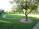 187 Pickwick Unit 1A, Schaumburg, IL 60193
