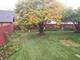 603 Cowles, Joliet, IL 60435