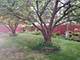 603 Cowles, Joliet, IL 60435