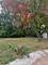 1630 Marquette, Joliet, IL 60435