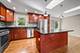 203 Coldren, Prospect Heights, IL 60070