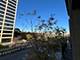 3506 S State Unit 302, Chicago, IL 60609