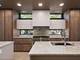 825 N Leavitt, Chicago, IL 60622