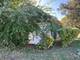 430 Shaw, Rockford, IL 61104