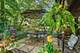 1412 Sycamore, Northbrook, IL 60062