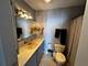 70 W Burton Unit 1101, Chicago, IL 60610