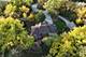 1110 Lakeside, New Lenox, IL 60451