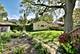 623 S Prospect, Park Ridge, IL 60068