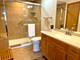 476 Alles Unit 508, Des Plaines, IL 60016