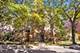 525 Grove Unit 4D, Evanston, IL 60201