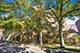 525 Grove Unit 4D, Evanston, IL 60201