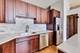 1631 S Michigan Unit 312, Chicago, IL 60616