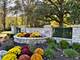 25028 Old Oak, Shorewood, IL 60404