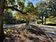 25028 Old Oak, Shorewood, IL 60404
