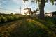 4501 W 90th, Hometown, IL 60456
