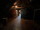 1510 Scoville, Berwyn, IL 60402