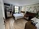 1460 N Sandburg Unit 501, Chicago, IL 60610