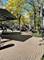 100 E Walton Unit 10C, Chicago, IL 60611