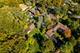 319 W Circle, New Lenox, IL 60451