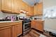262 Bartlett, Elgin, IL 60120