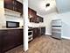 517 S Campbell Unit GROUND, Chicago, IL 60612