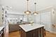 3325 N Seminary Unit 1N, Chicago, IL 60657