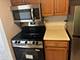 1 Renaissance Unit 615, Palatine, IL 60067