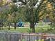4036 Miller, Glenview, IL 60026