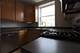 1517 W Jonquil Unit G3, Chicago, IL 60626