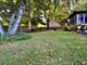 369 Vincent, Elgin, IL 60123