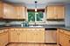 497 Pheasant Chase, Bolingbrook, IL 60490