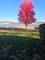 1530 Glacier Unit 0, Carpentersville, IL 60110