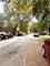 2925 N Troy, Chicago, IL 60618