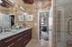 360 W Illinois Unit 313, Chicago, IL 60654