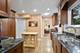 2440 Simpson, Evanston, IL 60201