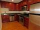 515 Sheridan Unit 202, Evanston, IL 60202