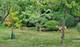 2013 Castlewood, Highland Park, IL 60035