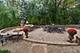 209 Linden Oaks, New Lenox, IL 60451