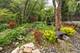209 Linden Oaks, New Lenox, IL 60451
