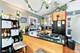 1111 S Campbell, Chicago, IL 60612