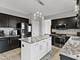 39W093 Shannon, Geneva, IL 60134