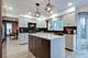 60 E Fabish, Buffalo Grove, IL 60089