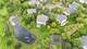 1432 Cascade, Barrington, IL 60010