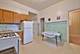 2037 W Rice, Chicago, IL 60622