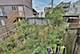 2037 W Rice, Chicago, IL 60622
