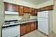 2411 W Fargo Unit 306, Chicago, IL 60645